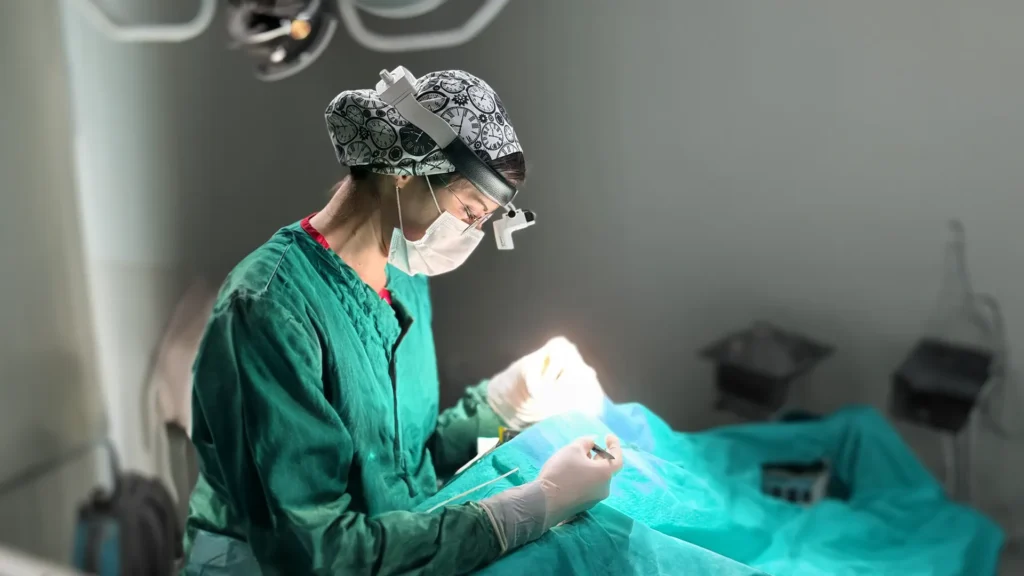 Endoskopik Sinüs Cerrahisi Op. Dr. Zekiye Kabaş